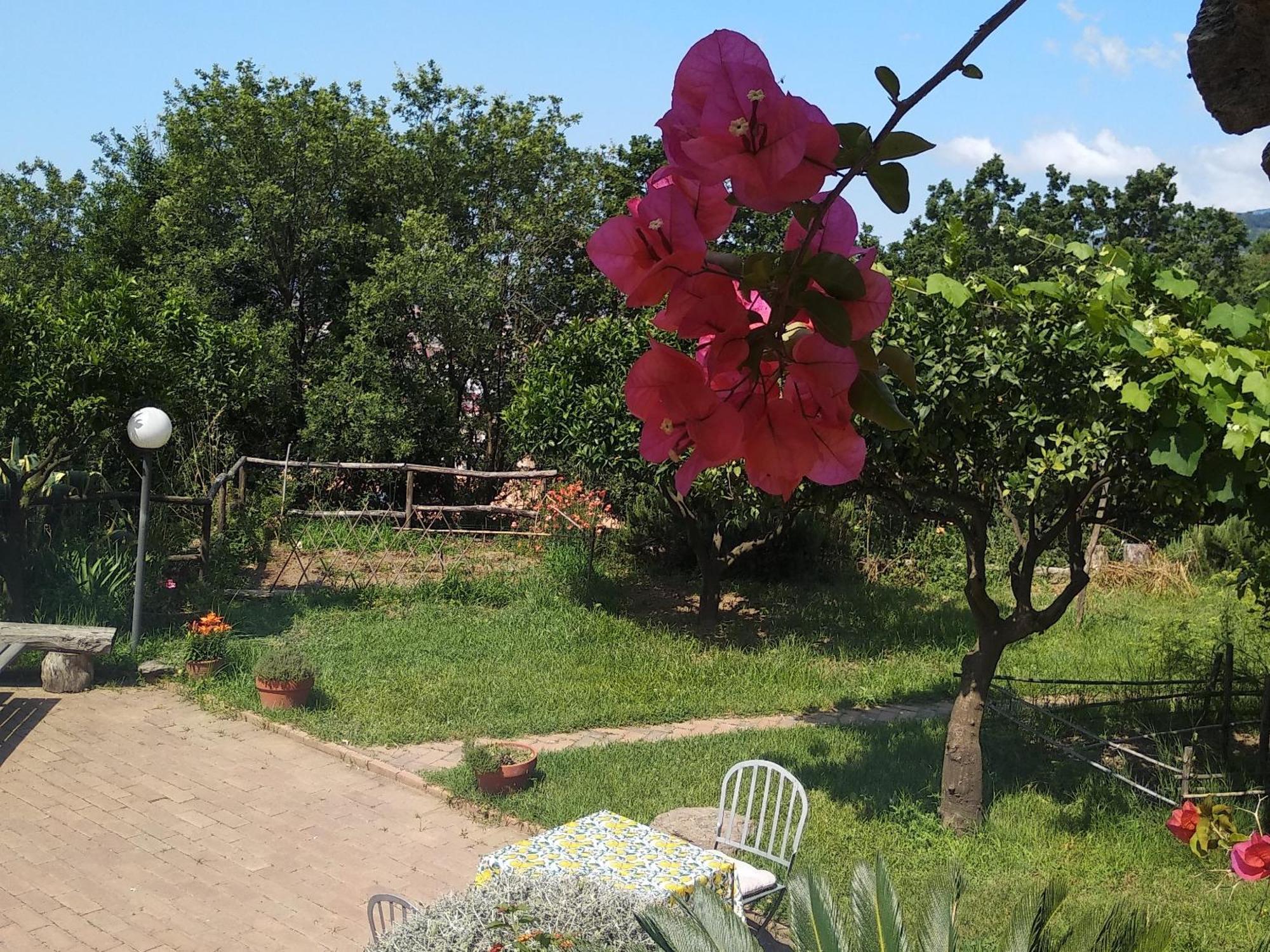 B&B Casa Gemma Lamezia Terme Bagian luar foto